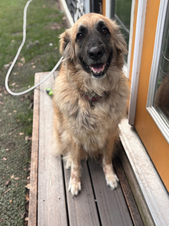 Alma